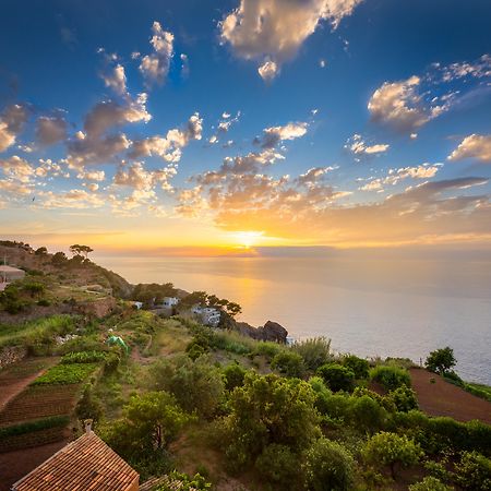 Hotel Sa Coma Баньяльбуфар Экстерьер фото